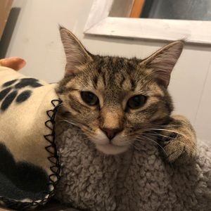 Welcome to my closet! 😊